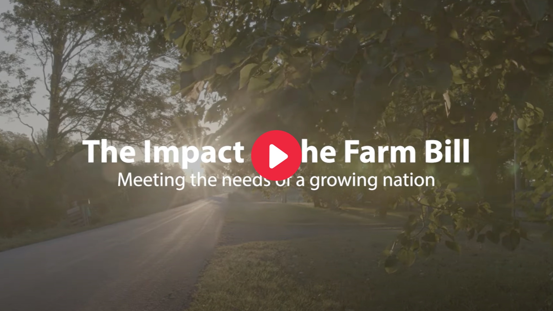 Farm Bill 2023